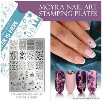 Stamping Plate 57 Winter is here 