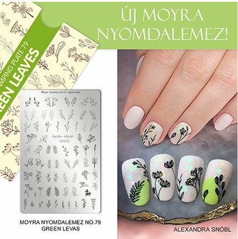 Stamping Plate 79 Green Leaves