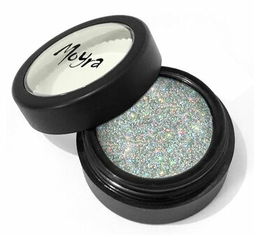 Glitter Powder 04 Holographic Silver