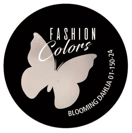 Fashion Color Blooming Dahlia