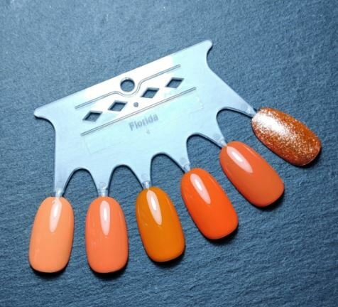 My Little Polish Florida Collection